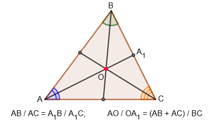 The bisector divides the opposite side into proportional parts
