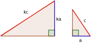 By leg and hypotenuse