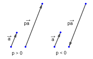 Multiplication of a vector by a number