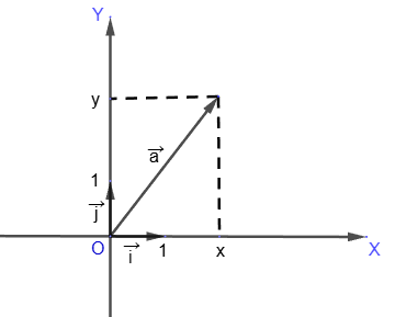 Vector coordinates